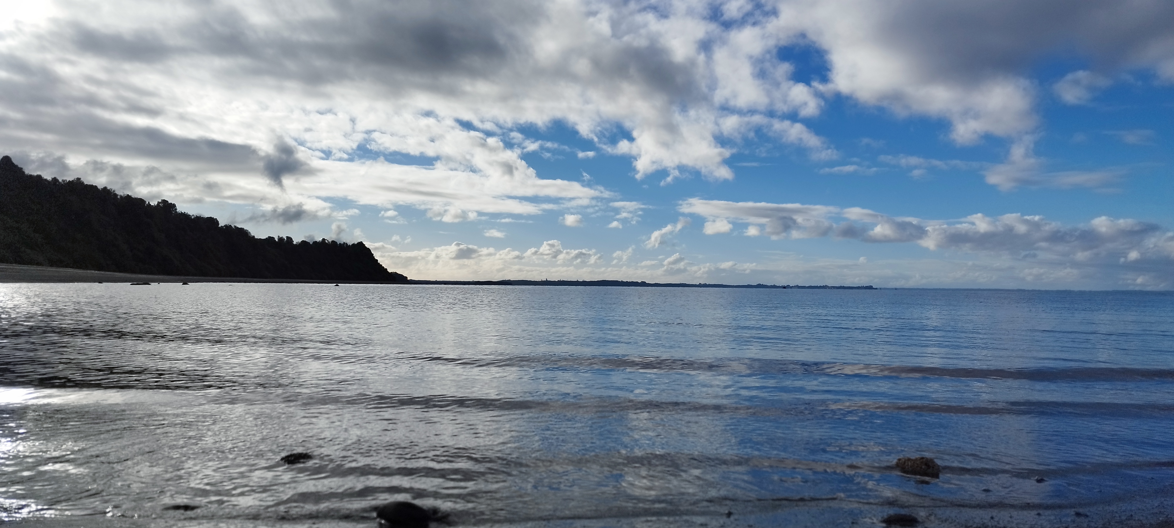 Fotografía naturaleza - Diseño web profesional