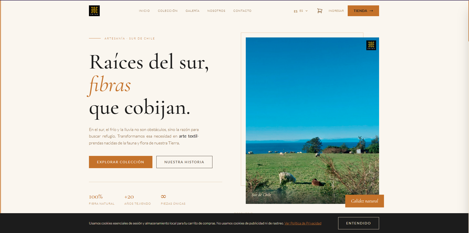 Intus Tejido — tienda online artesanía fibras naturales