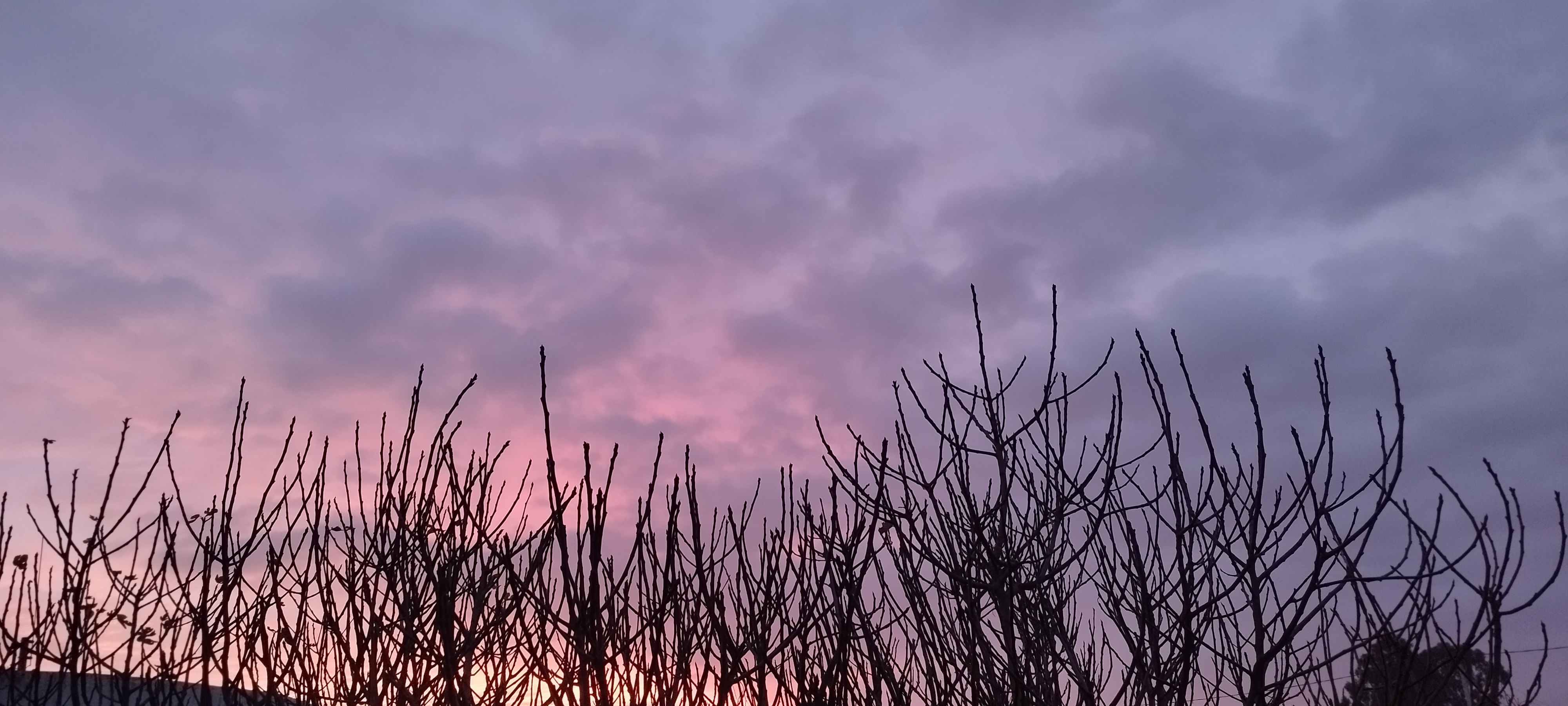 Fotografía estacional - Creación sitios web