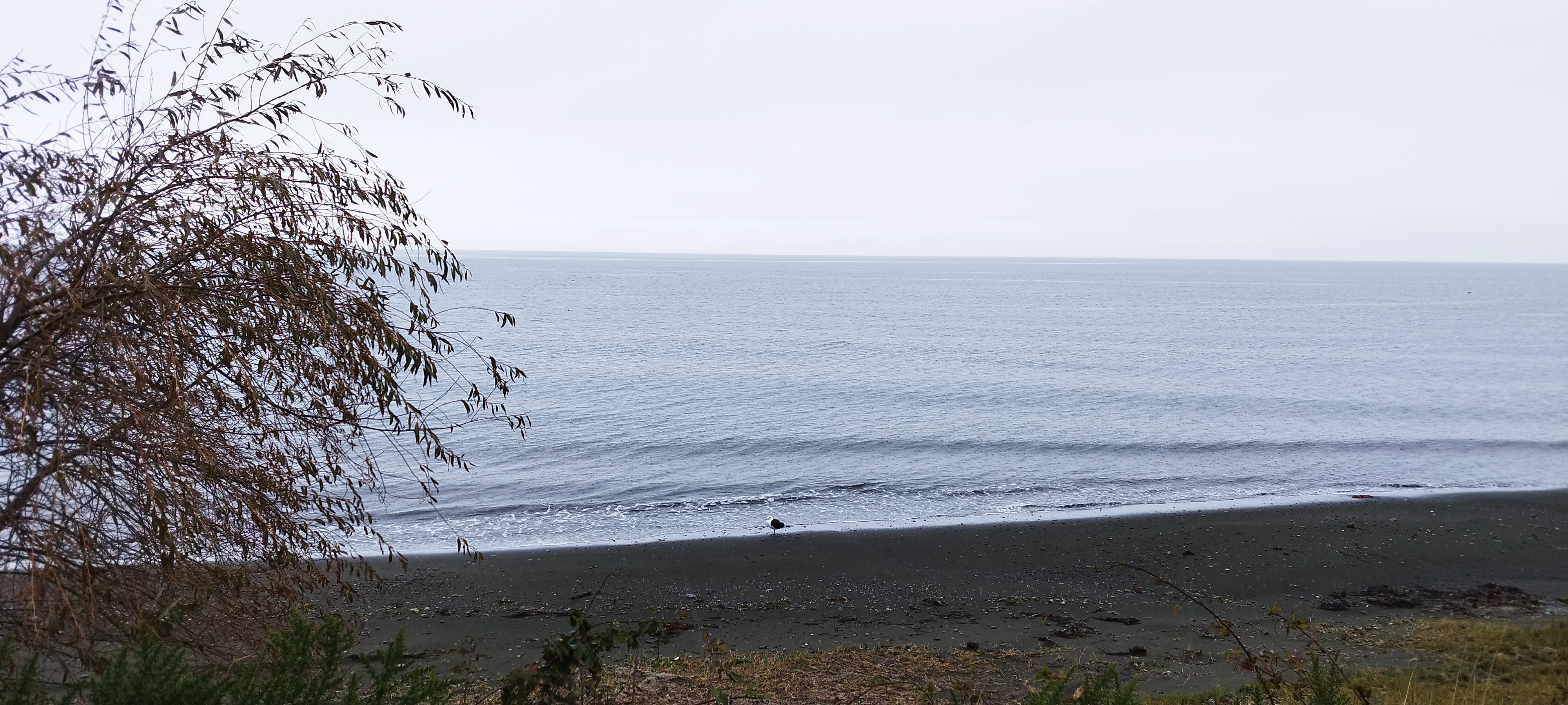 Fotografía costera - Servicios desarrollo web